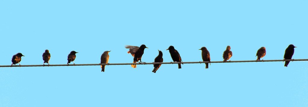 Crypto Area tweet media