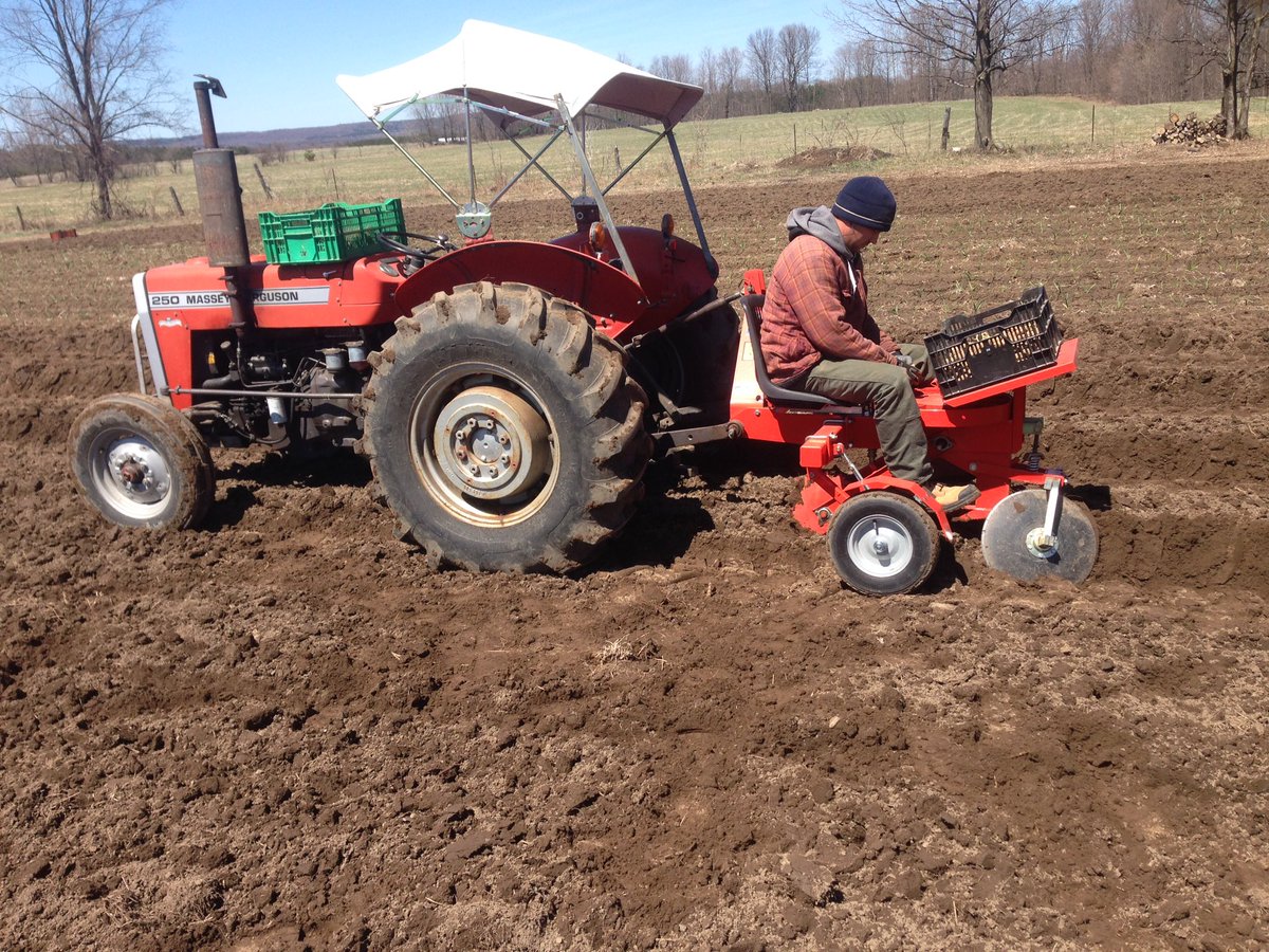 Planting seed potatoes!  8 varieties this year :-) #rainbowpotatoes