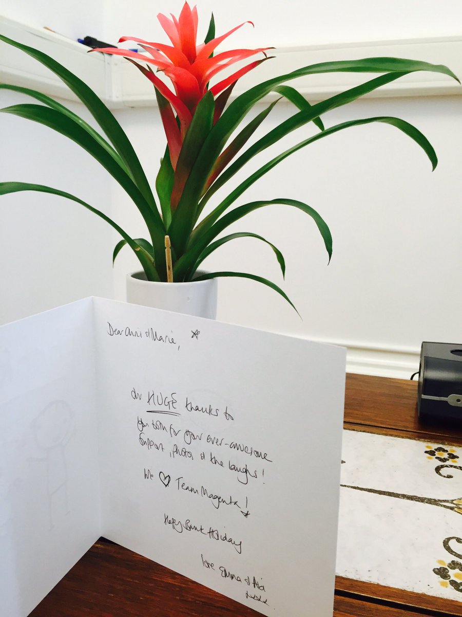 we_are_magenta's tweet photo. What a lovely way to start #bankholidayweekend Thank you @EmmaWConsulting & @AbiEWC We β€οΈ #TeamEWC! #Magentaplant https://t.co/VWn9WeTF4c
