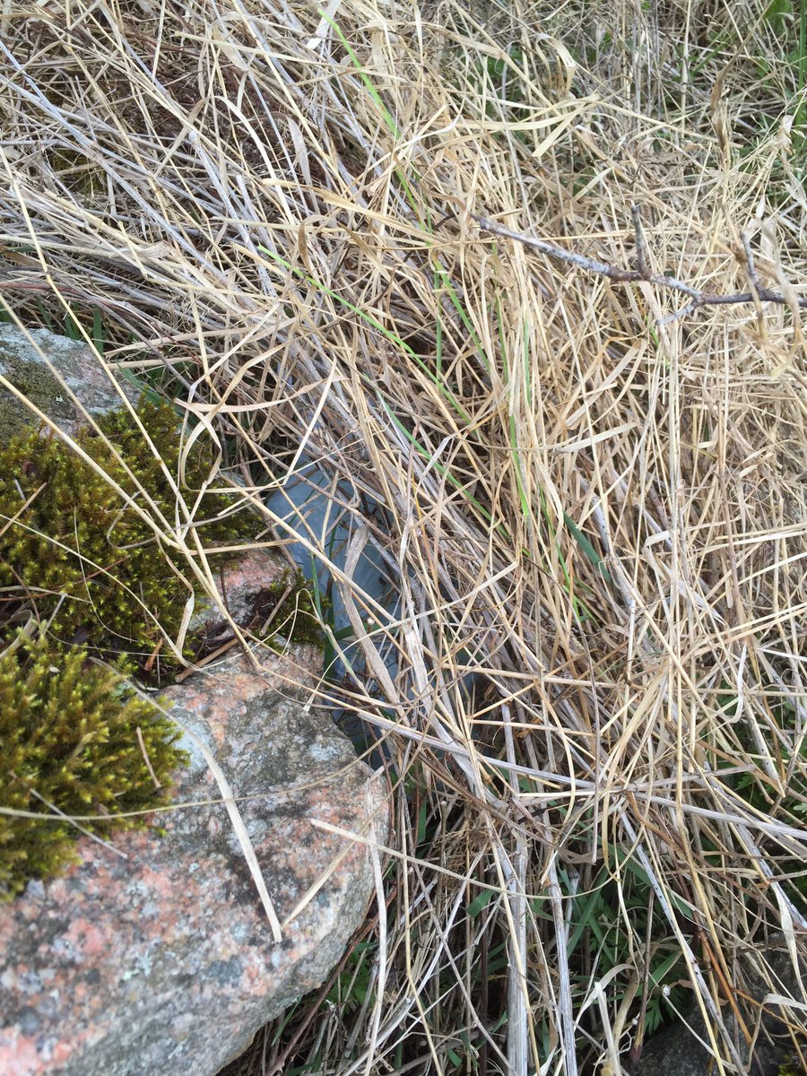 Andersson5Erika's tweet image. Förberett för virtuell skattjakt med #XNote #bluebot