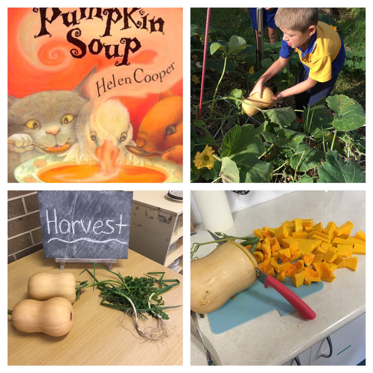 Tinkagirl's tweet photo. Learning about Narratives &amp; Cooking from our garden. Yum! @JohnWarbyPS @SAKGF https://t.co/QSj4uanmxE
