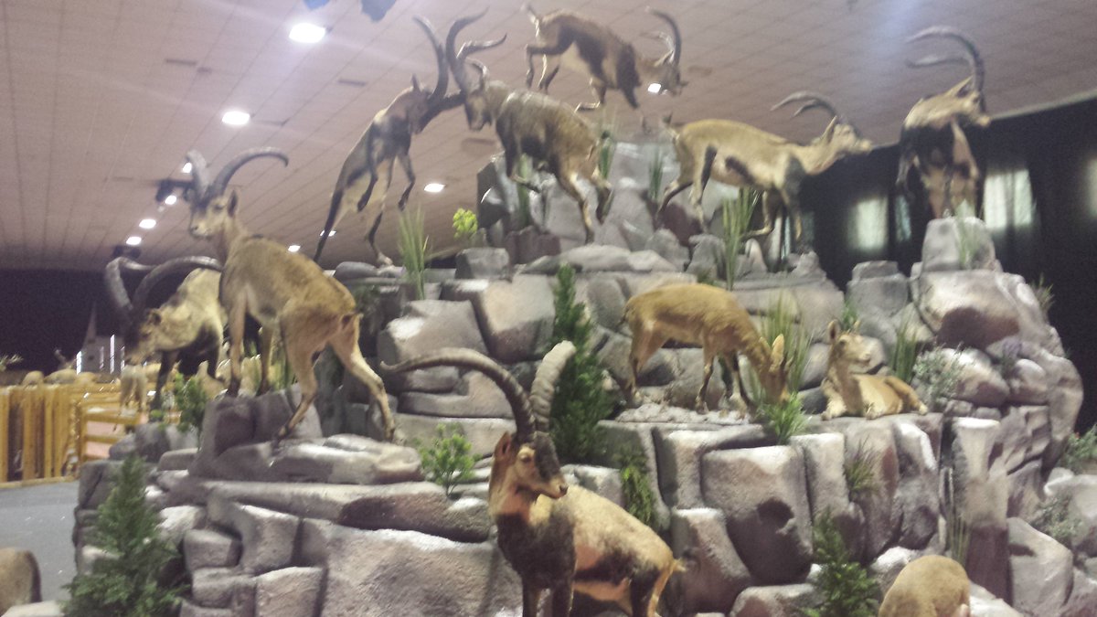 Recordad que tuvimos en 2015 la mayor exposicion de taxidermia del mundo y este año estará de nuevo Mompiel. RT.