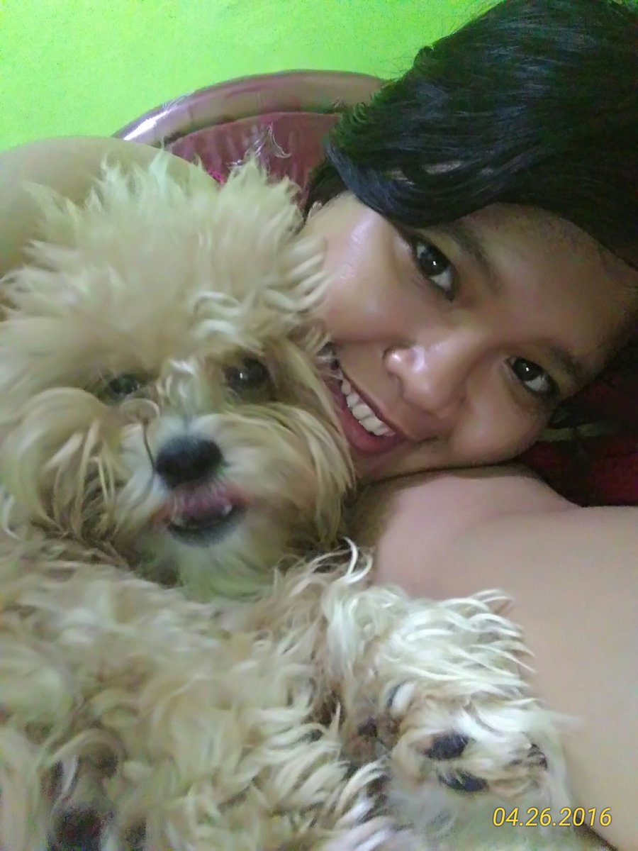 icha_daely's tweet photo. Cerita'a bobo bareng maru😜
#mydog #alaysedikitgpplahya😀😜 https://t.co/tKFFzquTNx