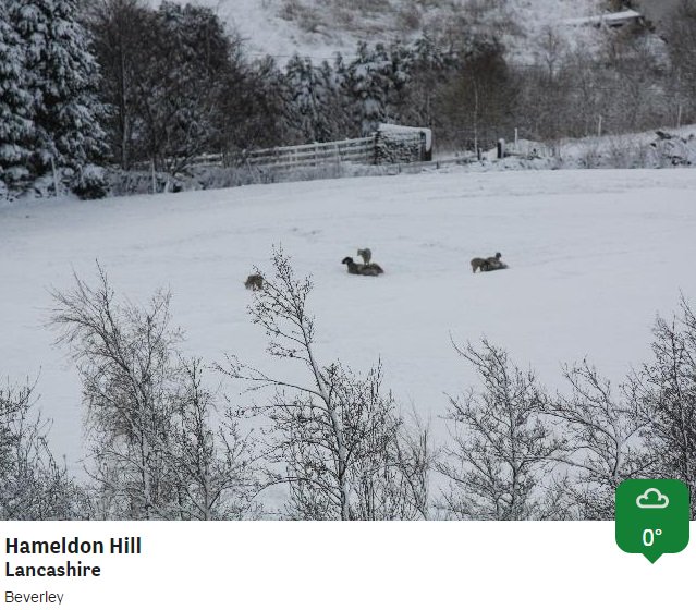 bbcweather's tweet photo. More #snow pics from our @BBCWthrWatchers this morning. Alina https://t.co/83qjn242FZ