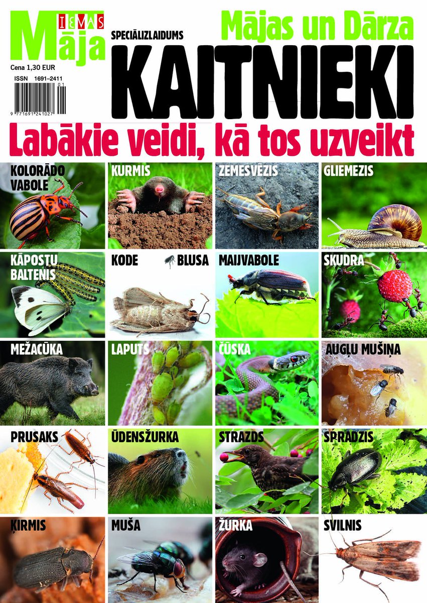 kaitina kurmji? Dzen izmisumā zemesvēži? Nespēj tikt galā ar kodēm? No šodienas kioskos pieejams risinājums!