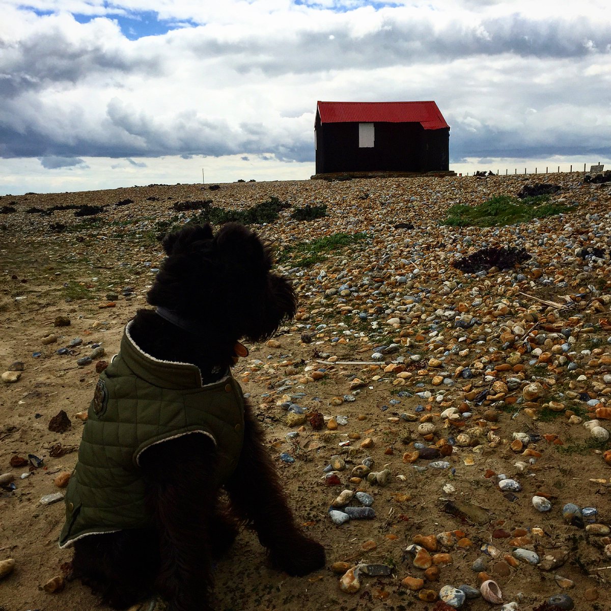 mandogblog's tweet photo. Family mini break in Rye! Ft. @TheShipInnRye @Ediths_Rye up on blog. Click link for a read https://t.co/nR9DAAnInW https://t.co/bVELAwbi6i