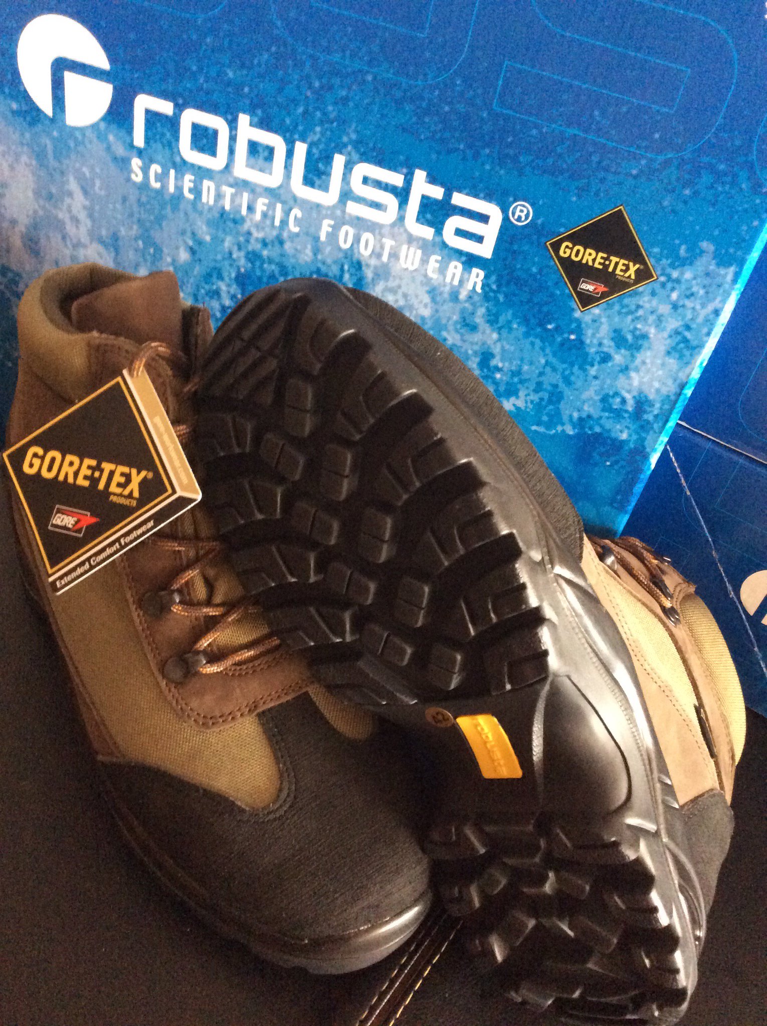 robusta safety shoes