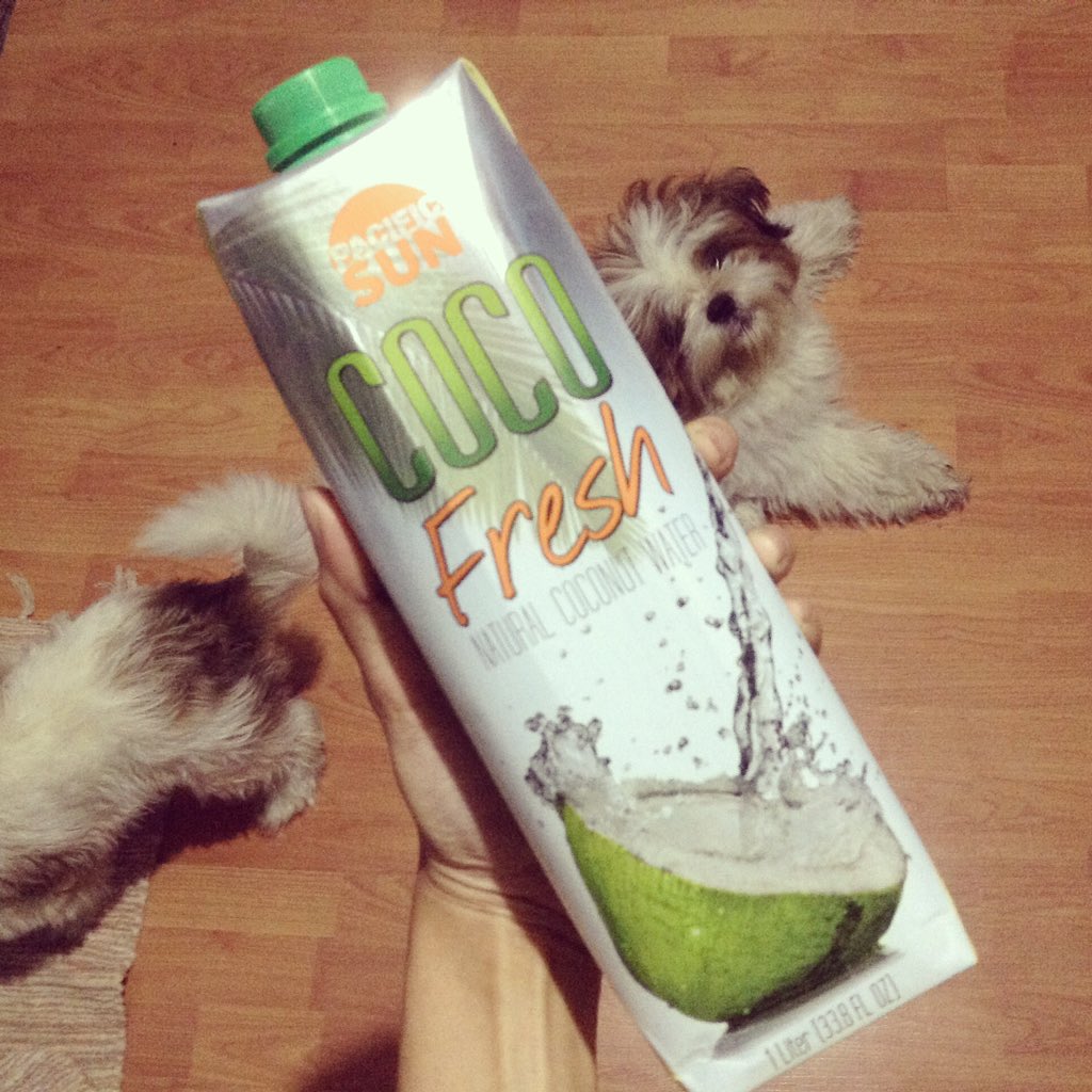 Gli_Chel's tweet image. My currently fave coco drink 👍🏼😊👌🏼 #CocoFresh #PacificSun #FoodAdventure