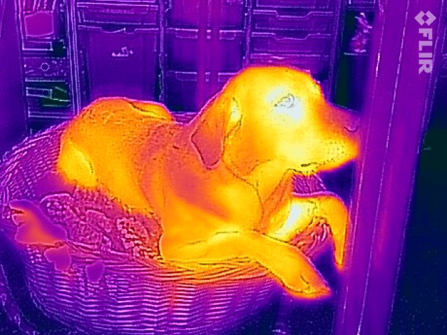 sas_ie's tweet photo. Love new IR camera @RendcombCollege Physics. TY SST Matt W #Techniciansmatter @CLEAPSS @Science_Council @BunsenHero https://t.co/KYltB0Fnqv