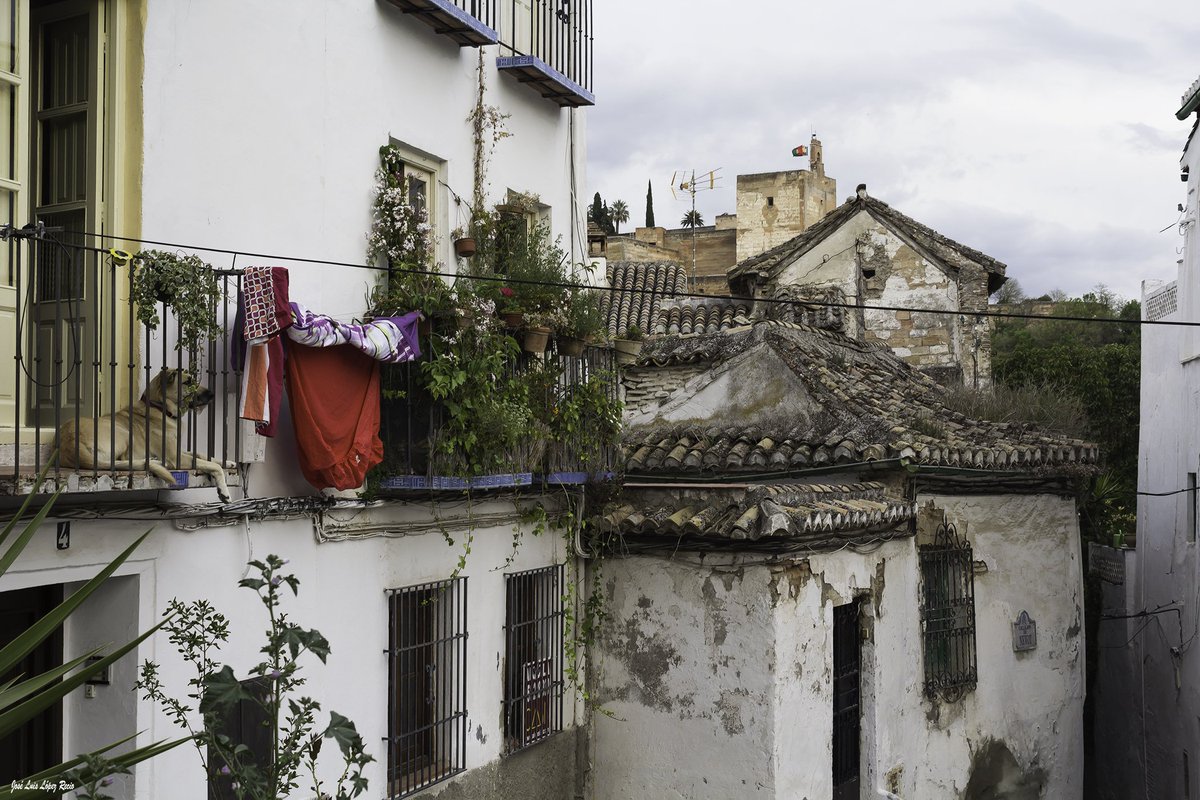 Lo cotidiano aporta a #Granada un punto de realismo mágico que la hace irresistible.
#DreamingGranada #Albaicín
