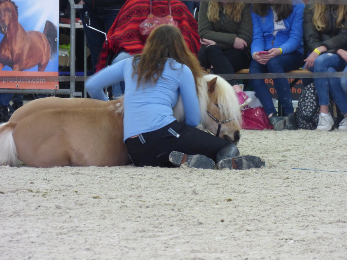 AnoukkDrent's tweet photo. trowback to equiiday! with @EvaRoemaat @Jessetjuhhh https://t.co/OZ2AlVDl87