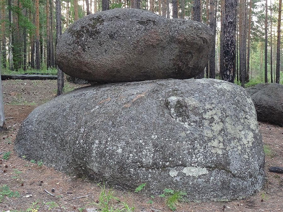 Голова черепахи...