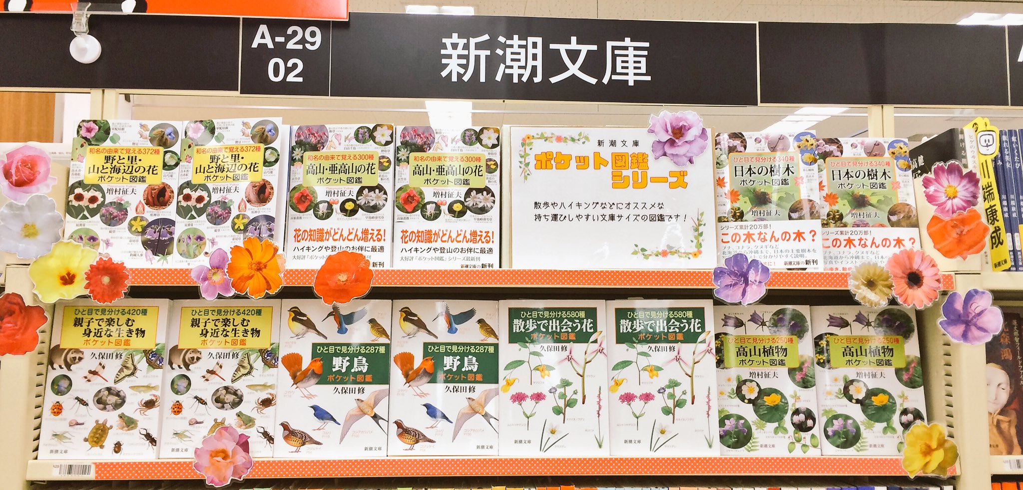 旭屋書店志木店 新潮文庫ポケット図鑑シリーズ集めました W 持ち運びしやすい文庫サイズの図鑑 です お散歩やハイキングにオススメ 9新潮文庫コーナーにございます T Co 52oa4okylp Twitter