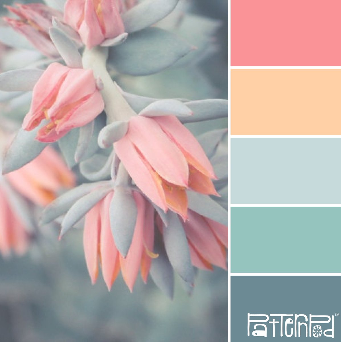 InteriorDecors1's tweet photo. Blushing blooms #patternpod #patternpodcolor ... - #home #homedecor #decor #interiordesign https://t.co/uZxywVtHaj https://t.co/txxam24D8G