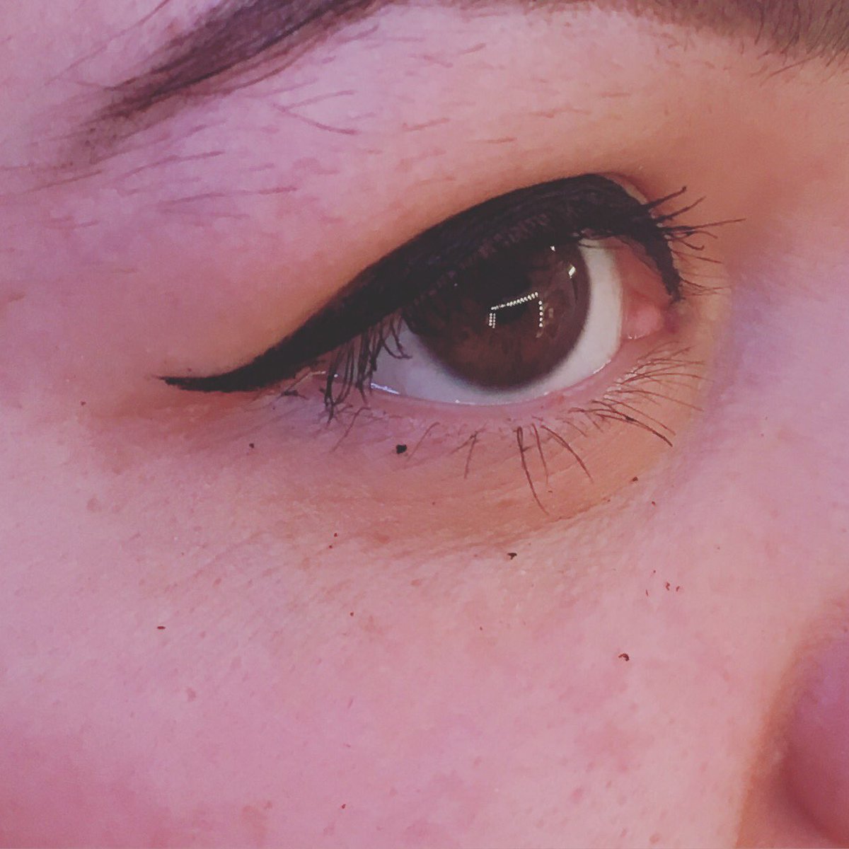 CollAmycoll87's tweet image. 