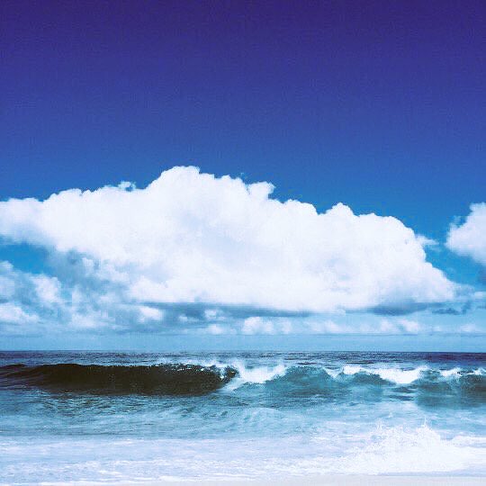 Surfer Lyfe tweet media