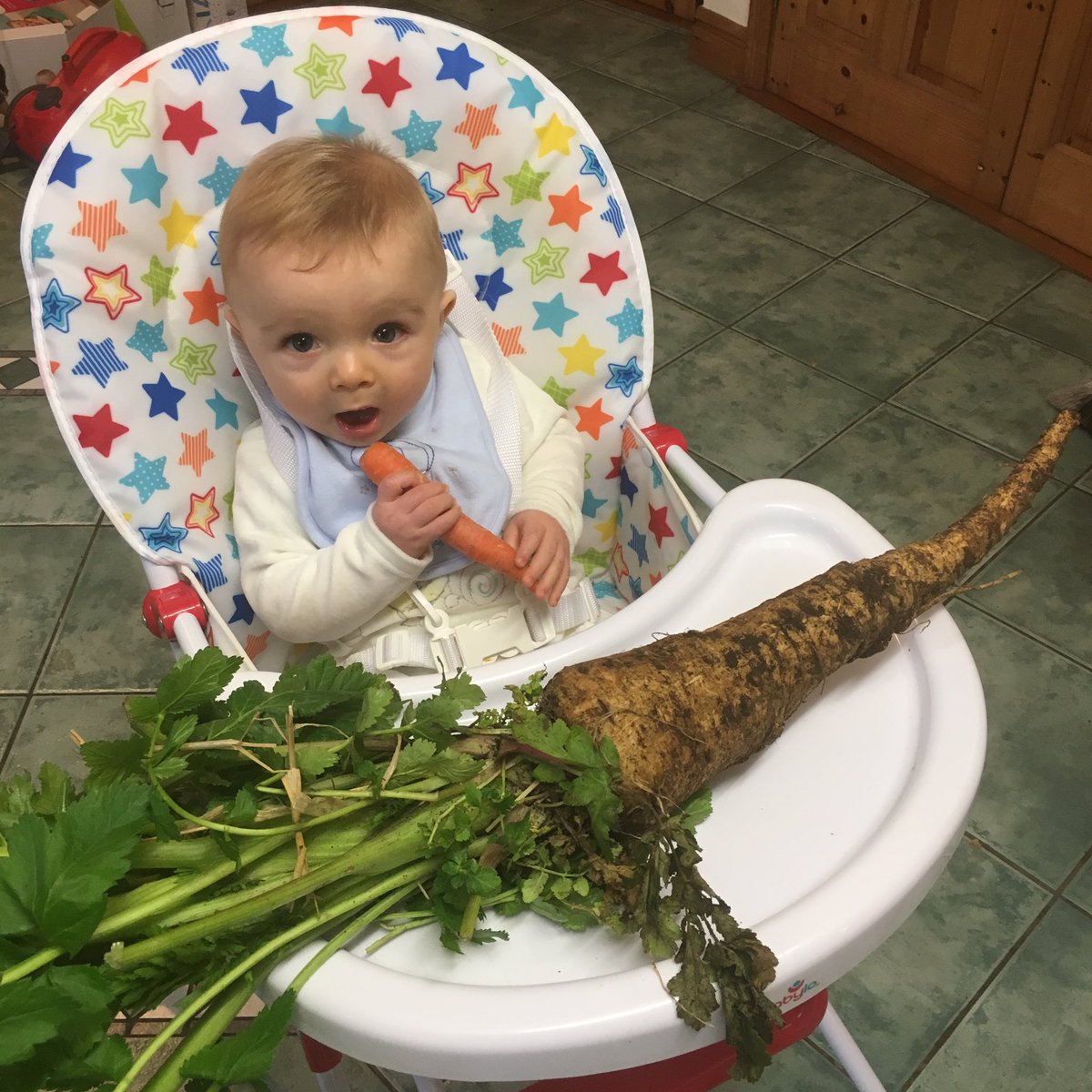 VintageLaneCafe's tweet image. Harry making sure all our veg is fresh for Dad&apos;s yummy Carrot &amp;amp; Parsnip Soup 😛 #vintagelanecafe #happyharry