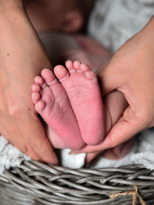 CouponCraving's tweet photo. Free Baby Samples Available NOW!
https://t.co/9j0WdRjlGi #free #baby #freebabysamples #freebabystuff #freesamples https://t.co/azYYwGie9l