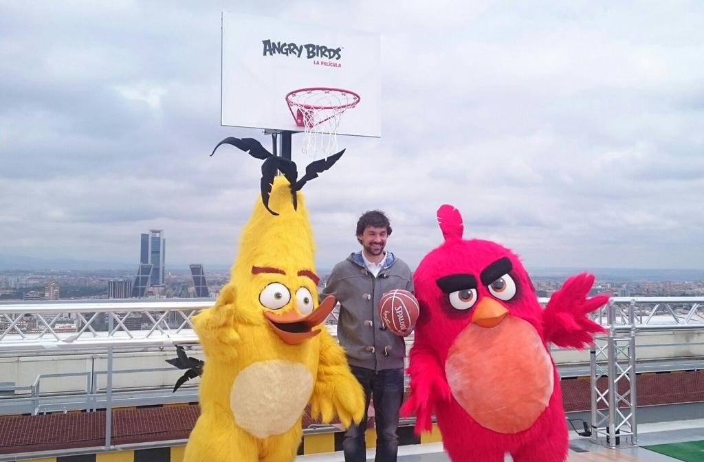sonypictures_es's tweet photo. El #AngryTraining se pasa a la cancha de baloncesto con la maestría de Sergio Llull. #AngryBirdsLaPeli https://t.co/S49ErECldl