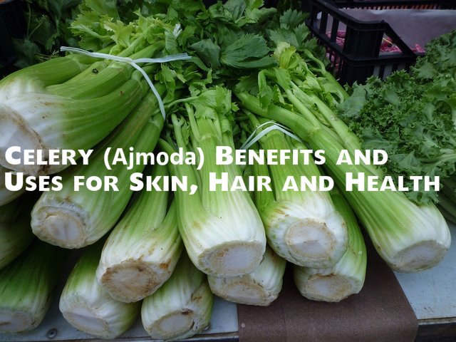 StylishWalks's tweet photo. #Celery (#Ajmoda) #Benefits #Uses for #Skincare #Haircare #Healthcare https://t.co/sC6oKisXUl #vitamins #pimples https://t.co/cTDfZxN88S
