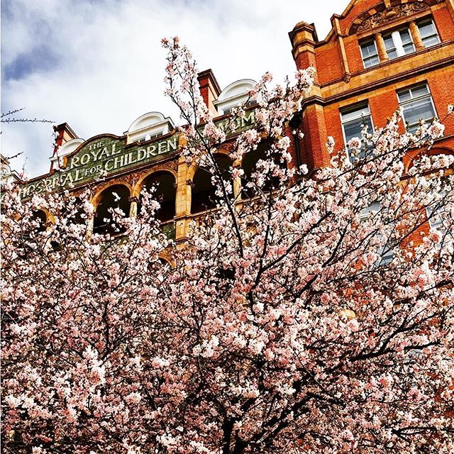 King's College London (@kingscollegelon) on Twitter photo <a href="/kingsartshums/">King's Arts & Humanities</a> This photo of the Waterloo Campus is our #LifeatKings photo of the week! instagram.com/lifeatkings <a href="/kingsartshums/">King's Arts & Humanities</a> This photo of the Waterloo Campus is our #LifeatKings photo of the week! instagram.com/lifeatkings