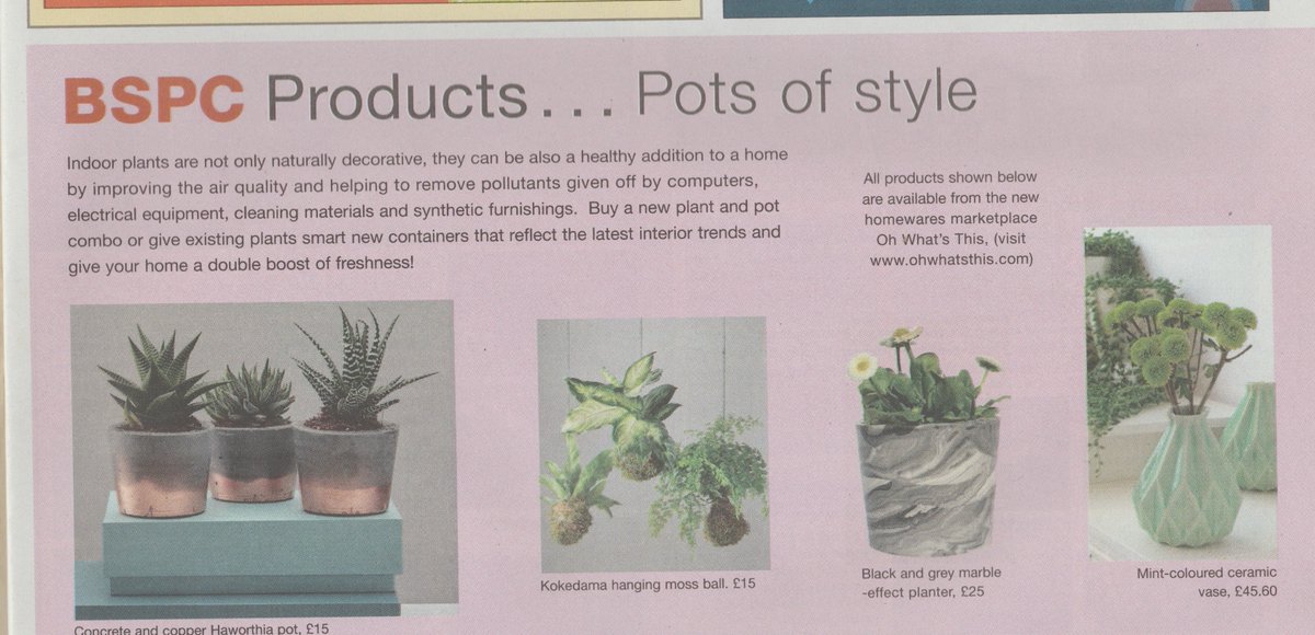 Spotted, a little feature on OWT featuring the gorge <a href="/geo_fleur/">John Joe James</a> <a href="/tillyworth/">Tilly Worth</a> &amp; Studio Armadillo pots #ohwhatsthis