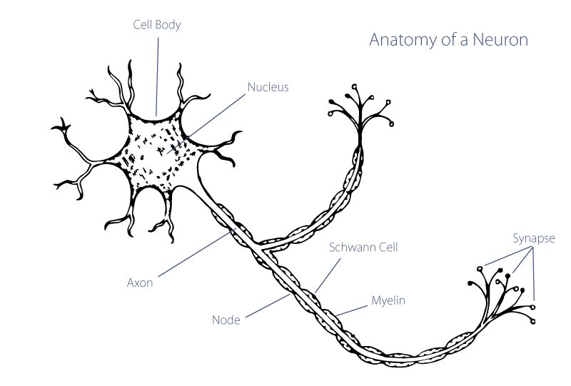 FacialParalCtr's tweet photo. #Synkinesis: result of involuntary movements during voluntary contractions. Learn more: https://t.co/cUAsQwPE9v https://t.co/hkwevZJ2qZ