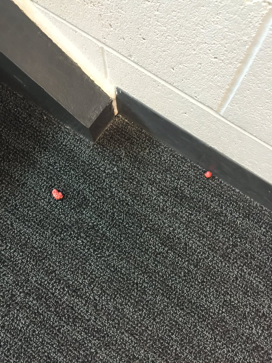 MrRyanBallard's tweet photo. This is why we can't have nice things! Gum on the floor! #LmsTwolves #LmsLakers https://t.co/vv9b7Mk7J2