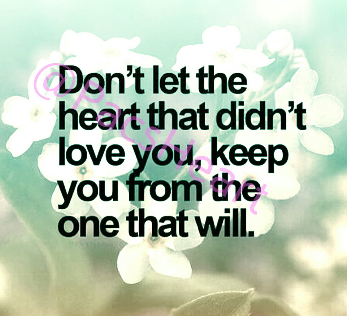 Don't let the heart that didn't love you, keep you from the one that will.
#LetGo #GoWhereYoureWanted
#love