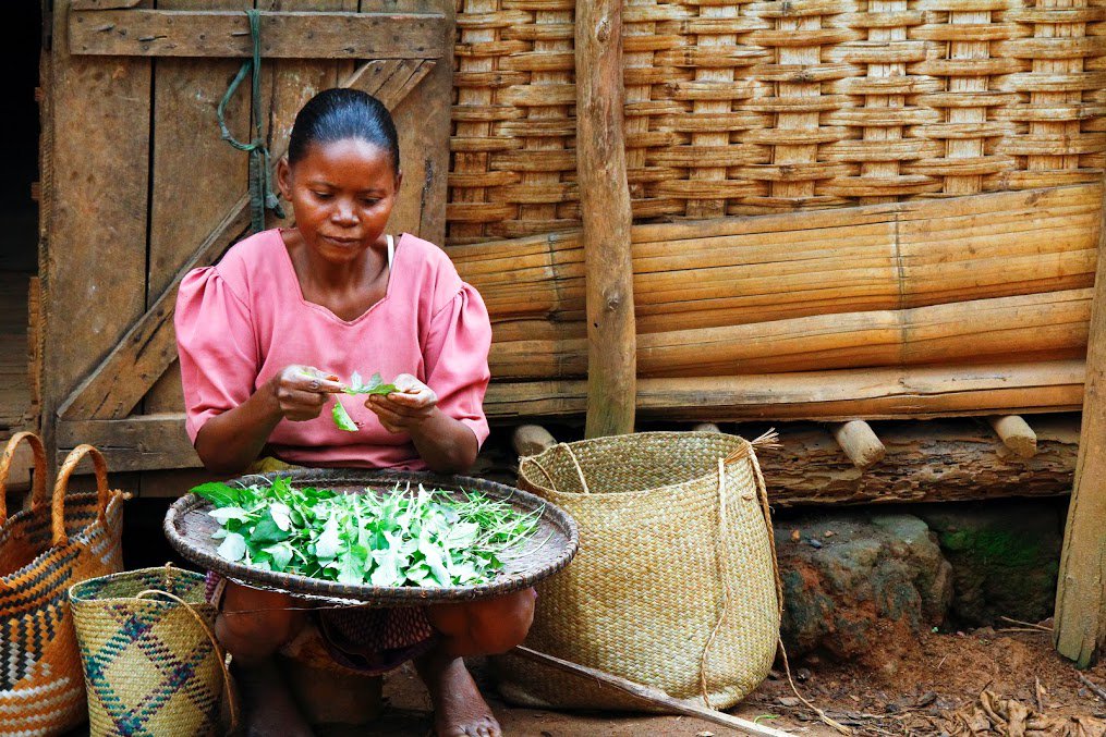 We have neglected the truth that a good farmer is a craftsman of the highest order, a kind of artist. Wendell Berry