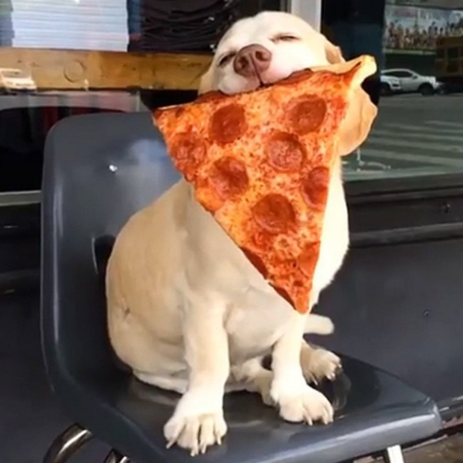 Crust_UK's tweet photo. #FF: @Bakchich_ @CoopLiverpool @sapporolpool @ManzoLiverpool @LEAFTeaShop @Mowglistfood @MisterMiyagis @RaggasCafe https://t.co/2eaIT33gTU