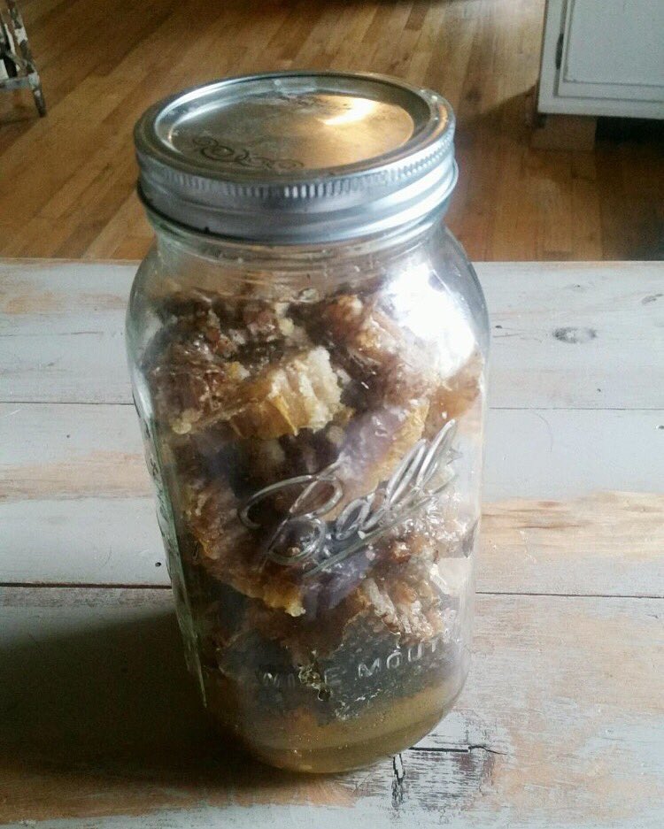 H2aProducts's tweet photo. Honeycomb! At H2a bees are a key part of keeping our gardens beautiful. #welovebees #h2aproducts #natural #beauty https://t.co/EPoORHNB30