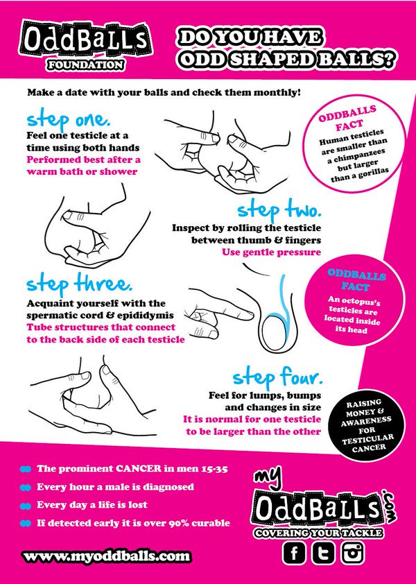 myoddballs's tweet photo. Today is the last day of #testicularcancerawarenessmonth so if you are unsure on how to check yourself, here's how https://t.co/7hgLANZr7F