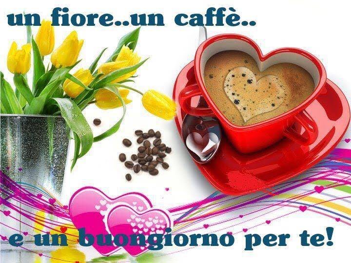 TuttoPoli's tweet photo. #immaginaIanni che su Twitter vi da il buongiorno così https://t.co/hNGw12eCO1