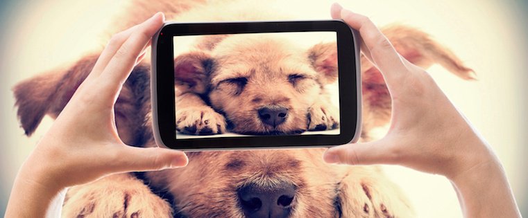 SocialMatrixHub's tweet photo. What to Post on #Instagram: 18 Photo &amp; Video Ideas...@HubSpot https://t.co/D9qDXkpVVK #InstagramFocus https://t.co/kKaLuHmoB9