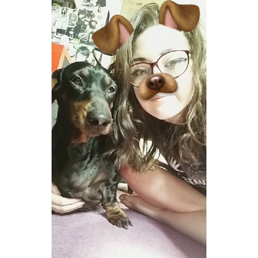 fxck_Mikeyx's tweet photo. Odie🐶🌹 https://t.co/bknWZh13CW