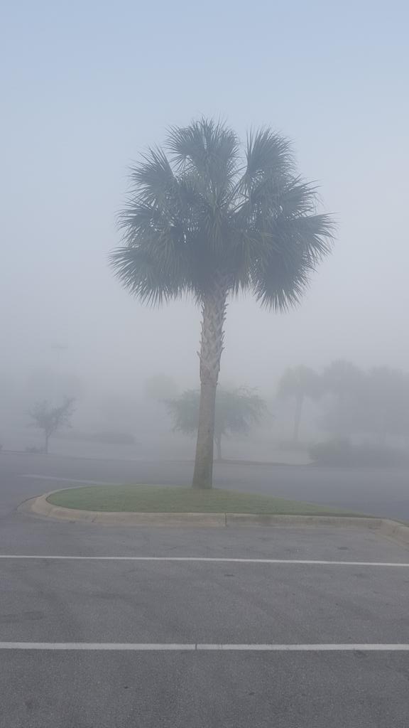 Florida_Linen's tweet image. Panama City Beach @spann #tomuchfog #cannotsee #turnlightson #LoveFL