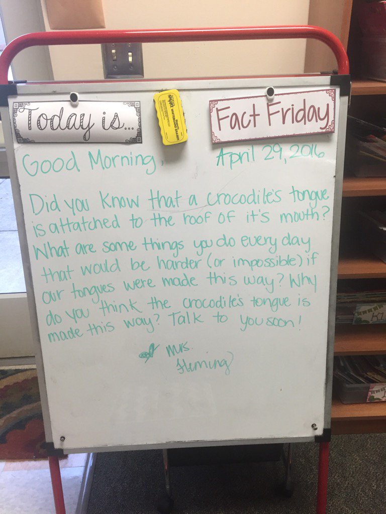 #FactFriday <a href="/CedarForkES/">Cedar Fork</a> !🐊