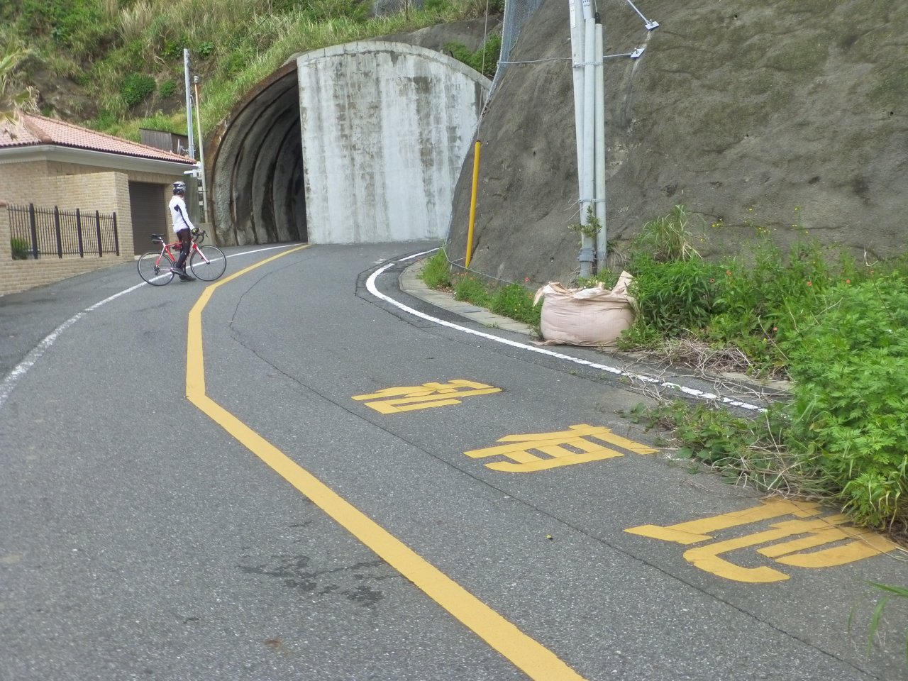 トンネルの多い町に住んでるけど こんな変わったトンネルは見たことがない えのげ