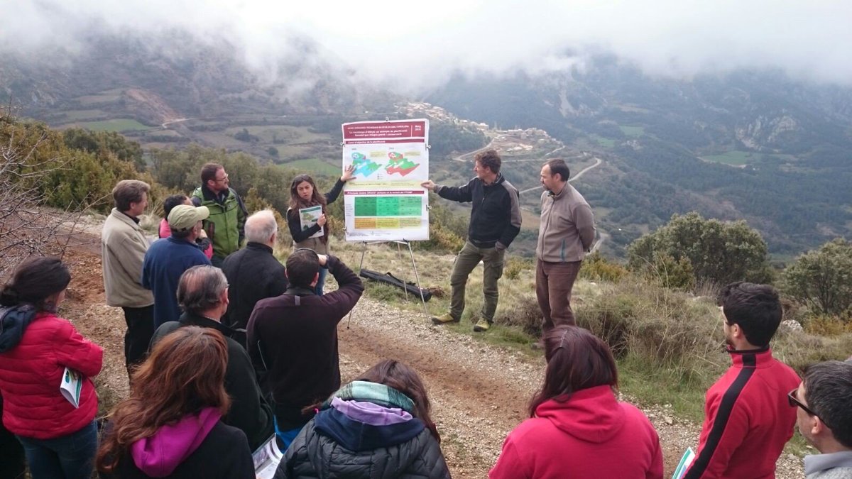 cpforestal's tweet photo. #JTS2016 Emili Garolera, a la Muntanya d'Alinyà, Planificació integrant gestió i conservació https://t.co/1xgLDdDRiy