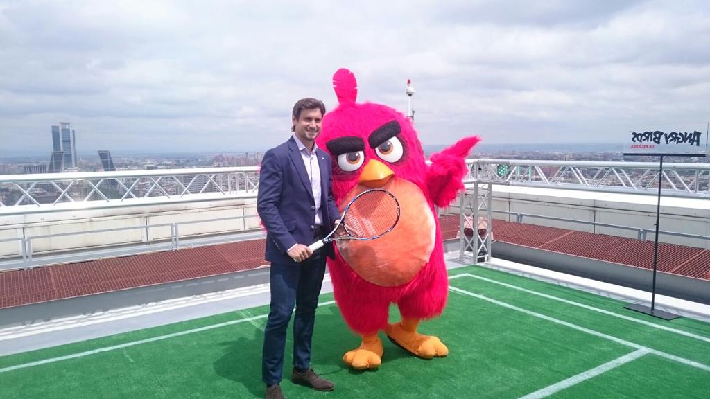 sonypictures_es's tweet photo. El saque de Red va a mejorar gracias al #AngryTraining con David Ferrer (@DavidFerrer87) #AngryBirdsLaPeli https://t.co/MI8hf74HfC