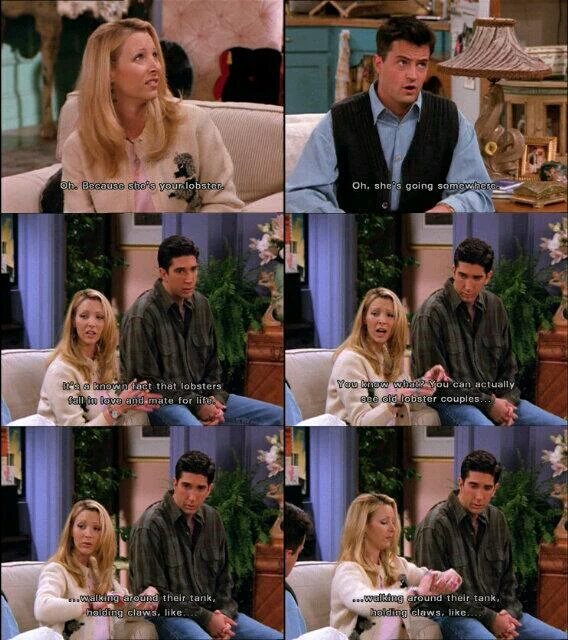F.R.I.E.N.D.S Fan on Twitter "Phoebe Lobsters fall in love & mate