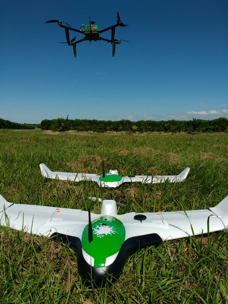 Aurea - The Crop Intelligence Company tweet media