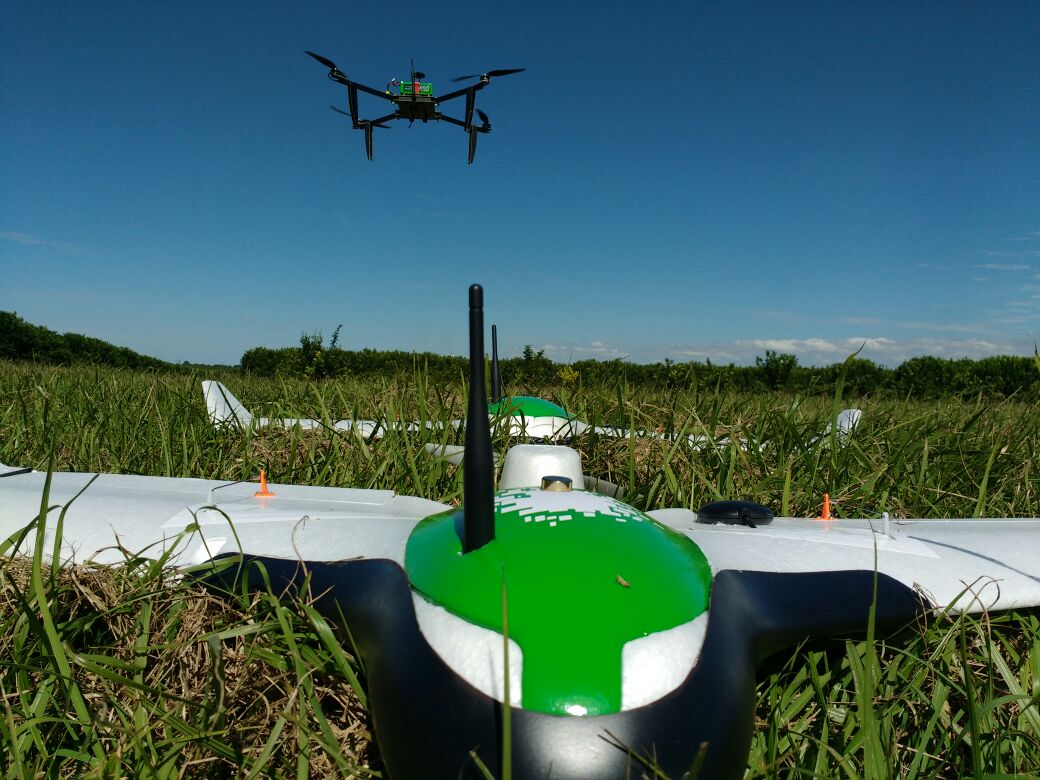 Aurea - The Crop Intelligence Company tweet media
