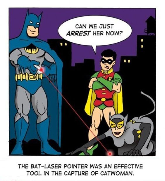 Hamiltoncomic's tweet photo. Purrrfect! #Batman #Robin #BatmanandRobin #catwoman #battools #DCComics #laserpointer https://t.co/Z1AzpKzRHX