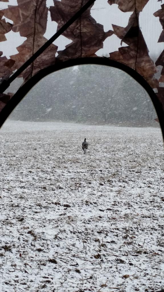 Interesting pic from the Bush Lodge #snowinturkeyseason #thatbirdswhite