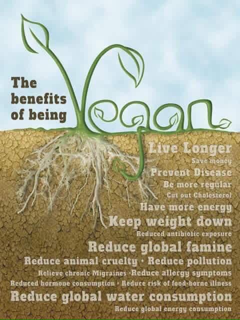 #vegan #health #LiveLonger #environment #healthbenefits #GlobalWarming #ReduceIllness #ImproveWellbeing