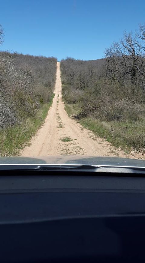 VCVSVeloClub's tweet photo. J-1. Qui osera relever le défi...? La nuit ça monte pas??? #PassionVtt #ilvafairetoutnoir #RaidNocture2016 https://t.co/A3zz5nWIO5