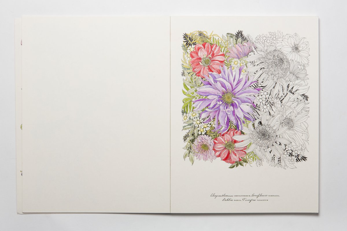 LaurenceKingPub's tweet photo. .@CountyWeddings recommend @LeilaDuly's #Floribunda for some R&R this bank hol #ColourKing https://t.co/SfHGHxbJGR https://t.co/W0qsJTxqvY