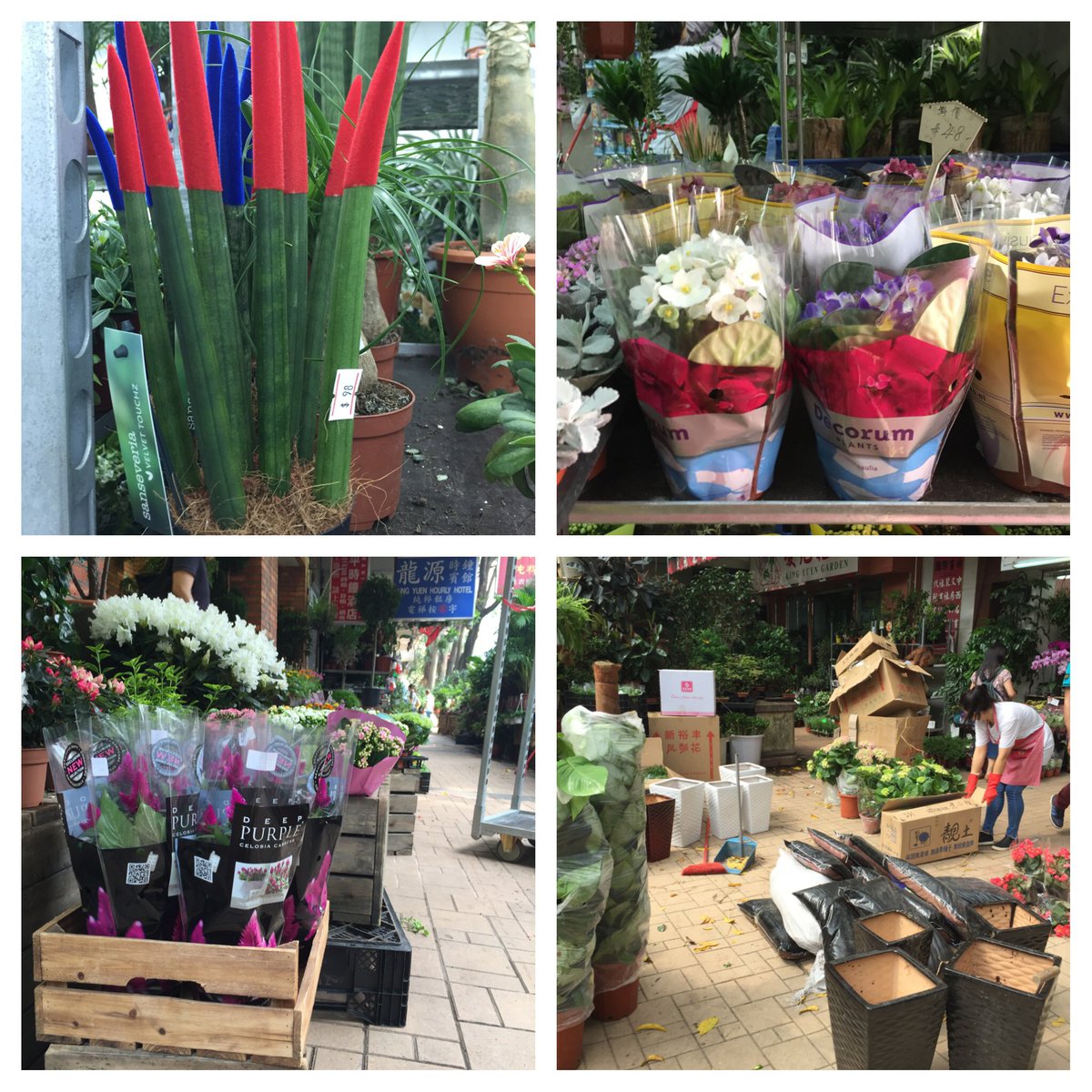 #marktbezoek Volop NL producten aanwezig in #HongKong oa <a href="/Greencre8/">Greencre8</a> <a href="/Decorumcompany/">Decorum Company</a> <a href="/ammerlaansosef2/">Gertjan Sosef</a> <a href="/PurpleCelosia/">Celosia Deep Purple</a>